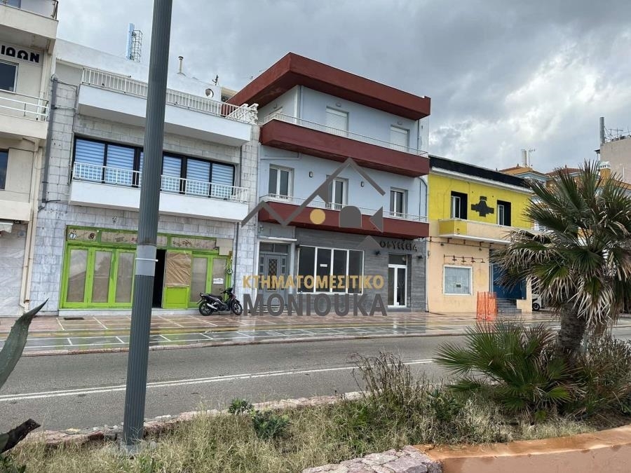 (Προς Πώληση) Λοιπά Ακίνητα Επενδυτικό ακίνητο || Ν. Χίου/Χίος - 338 τ.μ, 1.200.000€ 