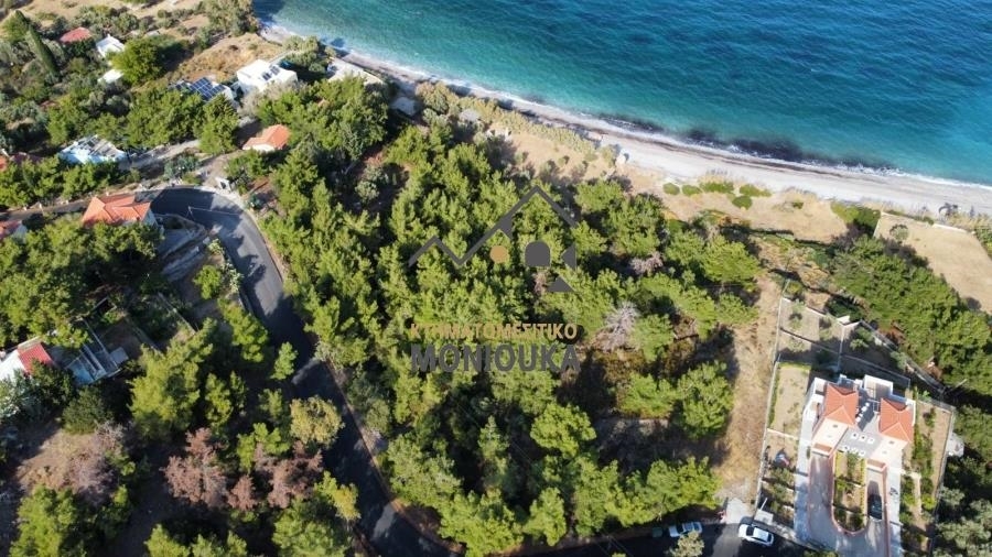 (Προς Πώληση) Αξιοποιήσιμη Γη Οικόπεδο || Ν. Χίου/Καρδάμυλα - 3.444 τ.μ, 490.000€ 