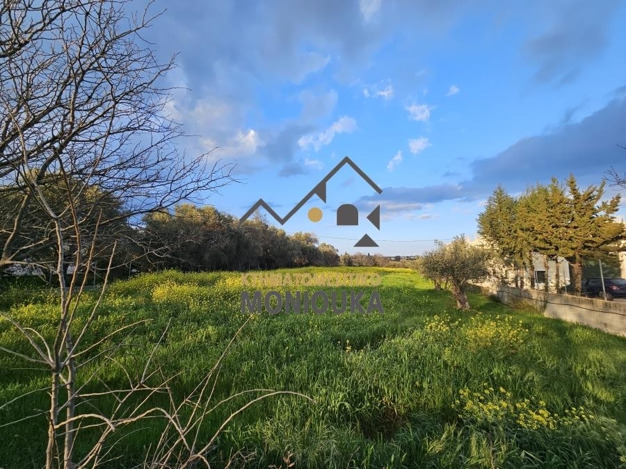 (For Sale) Land Plot || Chios/Kampochora - 1.386 Sq.m, 80.000€ 