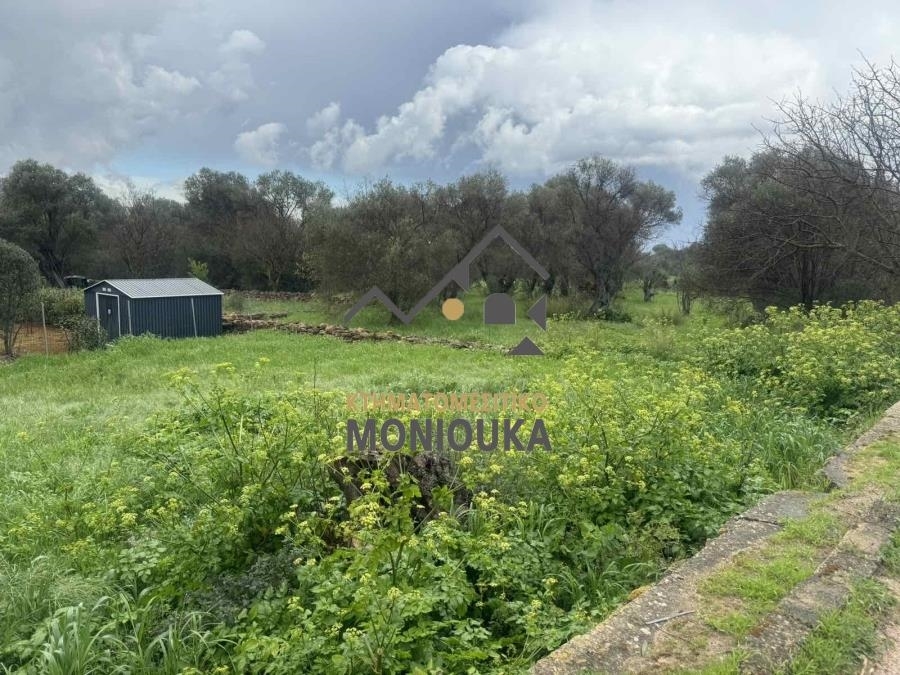 (Προς Πώληση) Αξιοποιήσιμη Γη Οικόπεδο εντός οικισμού || Ν. Χίου/Άγιος Μηνάς - 242 τ.μ, 55.000€ 