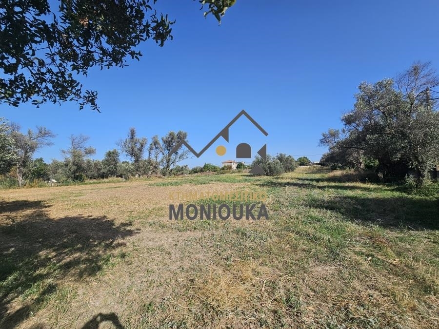 (For Sale) Land Plot || Chios/Agios Minas - 4.605 Sq.m, 100.000€ 