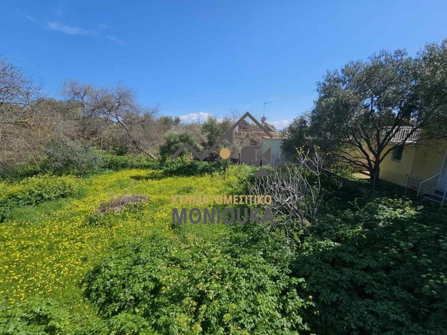 (Προς Πώληση) Αξιοποιήσιμη Γη Οικόπεδο || Ν. Χίου/Καμπόχωρα - 285 τ.μ, 18.000€ 