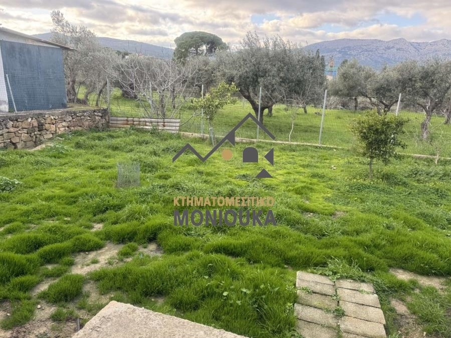 (For Sale) Land Agricultural Land  || Chios/Chios - 2.985 Sq.m, 205.000€ 