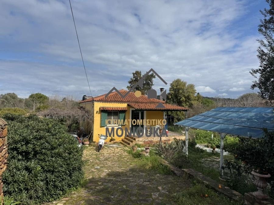 (For Sale) Residential Detached house || Chios/Chios - 4.071 Sq.m, 1 Bedrooms, 318.000€ 