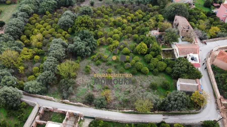 (Προς Πώληση) Κατοικία Λοιπές κατηγορίες || Ν. Χίου/Χίος - 5.184 τ.μ, 370.000€ 