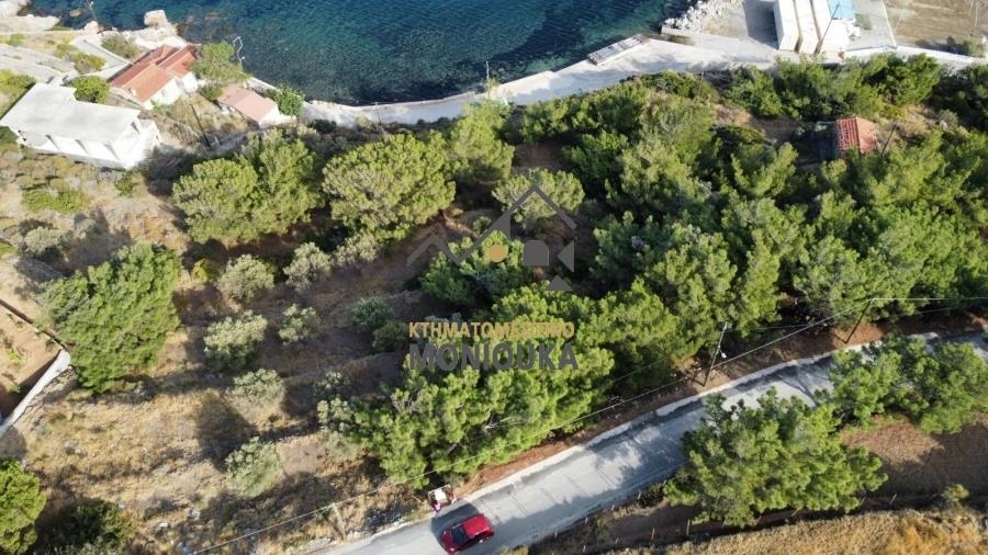 (Προς Πώληση) Αξιοποιήσιμη Γη Οικόπεδο || Ν. Χίου/Καρδάμυλα - 3.006 τ.μ, 550.000€ 