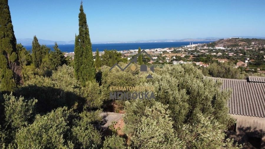 (Προς Πώληση) Αξιοποιήσιμη Γη Οικόπεδο εντός οικισμού || Ν. Χίου/Χίος - 4.792 τ.μ, 190.000€ 