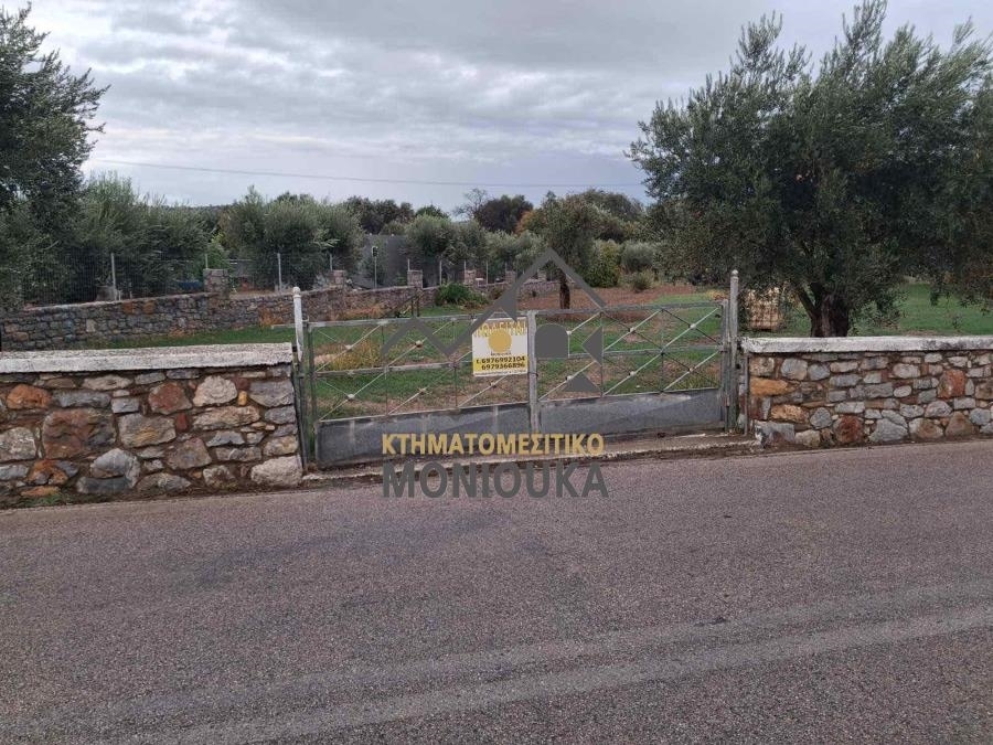 (Zum Verkauf) Nutzbares Land Grundstück in Siedlung || Chios/Kampochora - 2.094 m², 80.000€ 