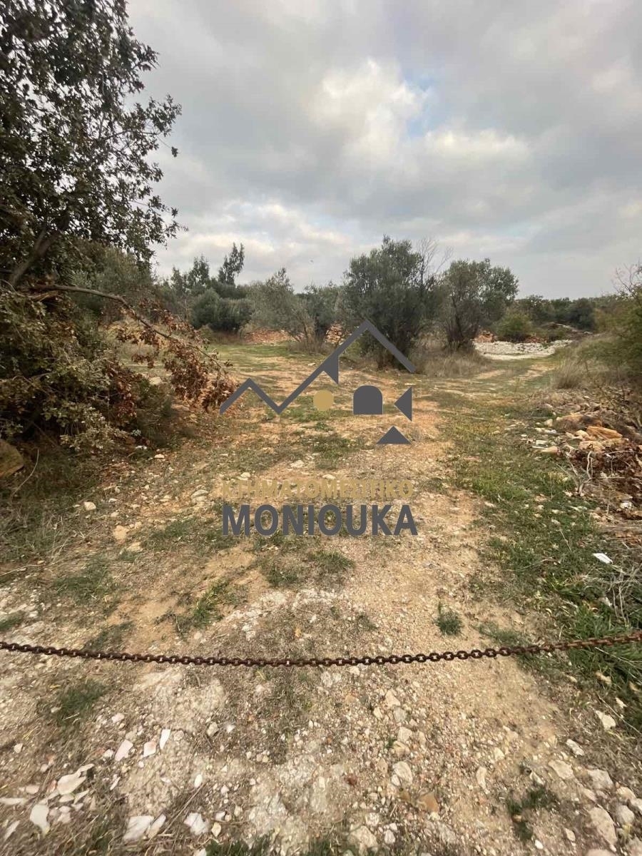 (Προς Πώληση) Αξιοποιήσιμη Γη Οικόπεδο εντός σχεδίου || Ν. Χίου/Χίος - 1.641 τ.μ, 100.000€ 