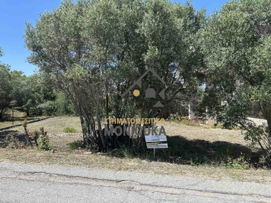 (For Sale) Land Plot || Chios/Agios Minas - 1.052 Sq.m, 58.000€ 
