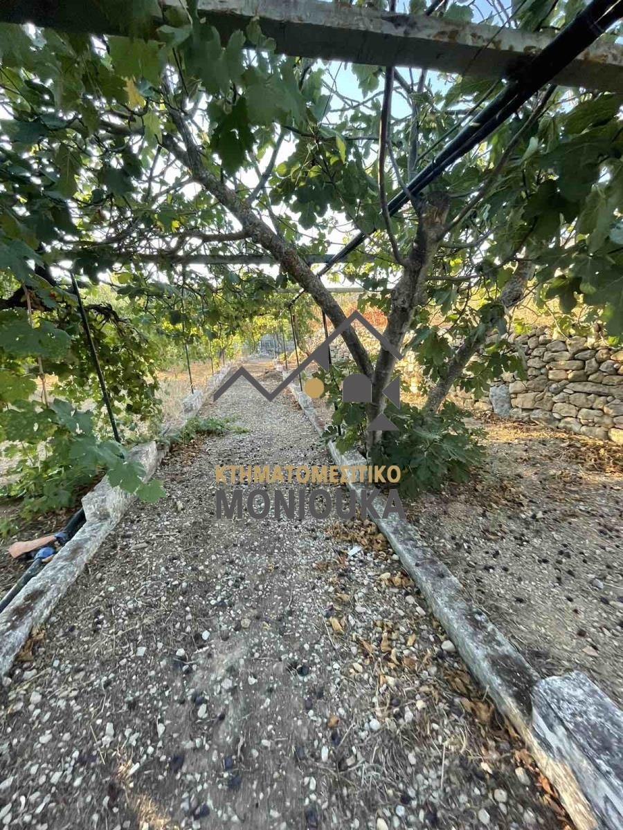 (Προς Πώληση) Αξιοποιήσιμη Γη Έκταση || Ν. Χίου/Χίος - 3.312 τ.μ, 30.000€ 
