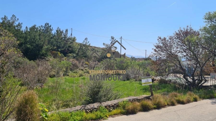 (For Sale) Land Plot for development || Chios/Amani - 446 Sq.m, 90.000€ 