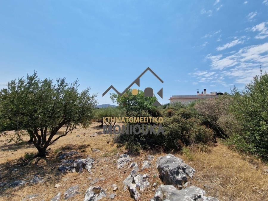 (For Sale) Land Plot || Chios/Chios - 2.036 Sq.m, 180.000€ 