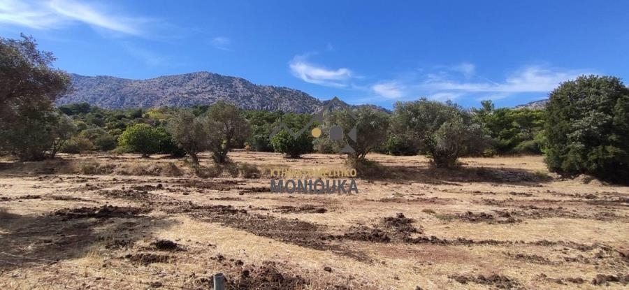 (Προς Πώληση) Αξιοποιήσιμη Γη Έκταση || Ν. Χίου/Καμπόχωρα - 60.900 τ.μ, 100€ 