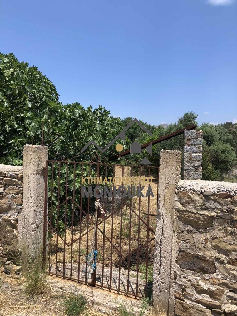 (For Sale) Land Plot for development || Chios/Amani - 670 Sq.m, 95.000€ 